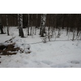 Подснежный интернет - 4.jpg